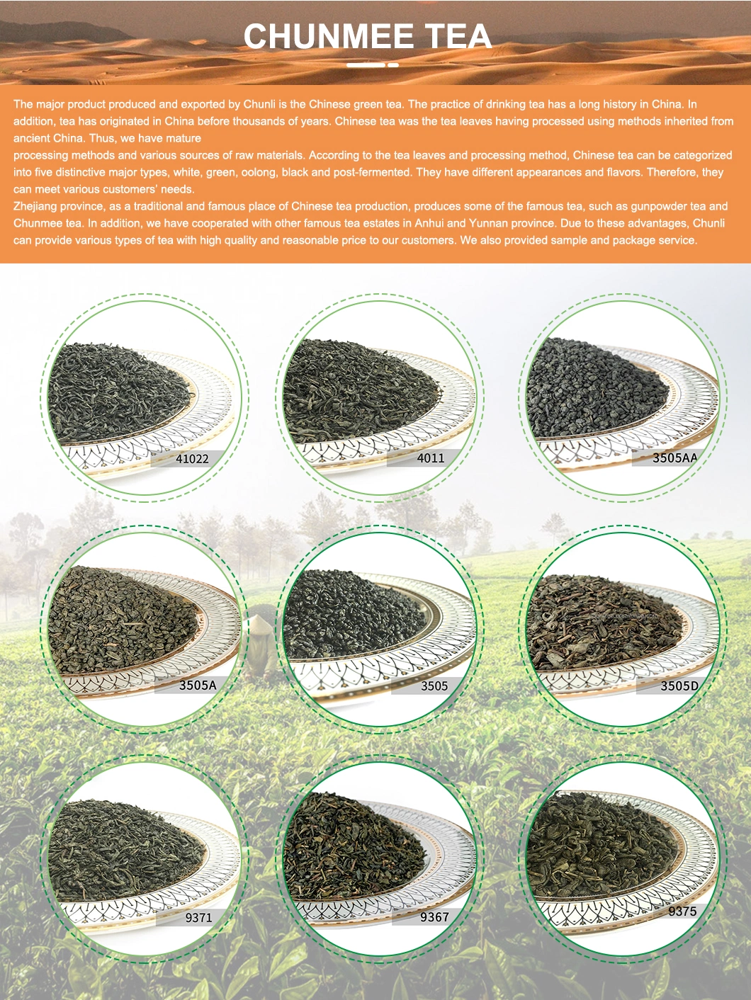 China Green Tea Best Quality Low Price Factory Chunmee 41022