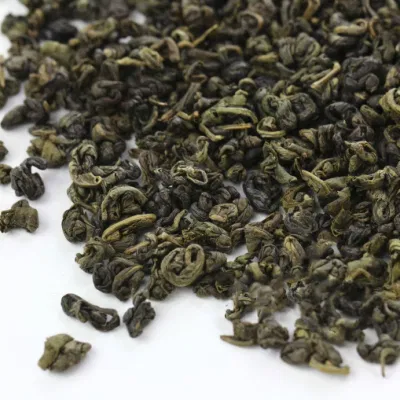 Оптовая торговля свежими бутонами пороха зеленого чая OEM